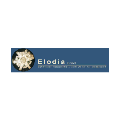 interpretariato - interpreting - elodia