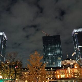 E poi c'è la Tokyo notturna, con tutte le sue luci e i suoi edifici modernissimi. Nel periodo natalizio è ancora più scintillante e spettacolare!
# LoveTokyo
#JAPANTRAVEL
#japantrip
#lovejapan
#viaggioingiappone